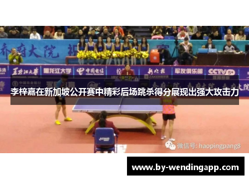 李梓嘉在新加坡公开赛中精彩后场跳杀得分展现出强大攻击力