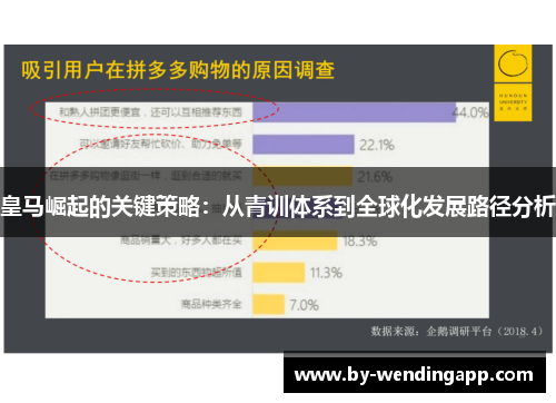 皇马崛起的关键策略:从青训体系到全球化发展路径分析 皇马崛起的关键策略:从青训体系到全球化发展路径分析