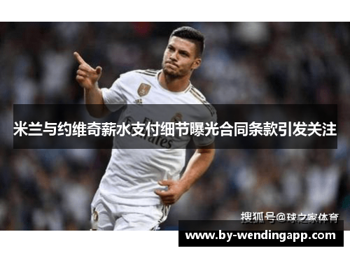 米兰与约维奇薪水支付细节曝光合同条款引发关注 米兰与约维奇薪水支付细节曝光合同条款引发关注