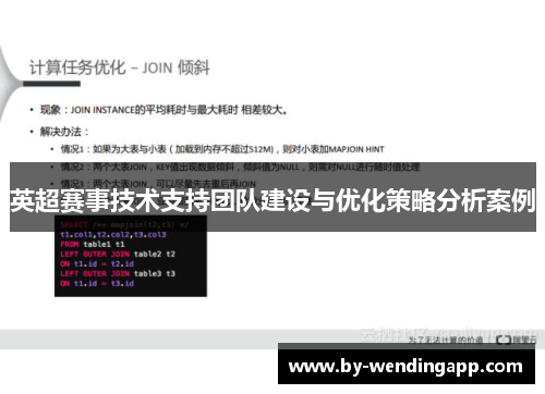 英超赛事技术支持团队建设与优化策略分析案例